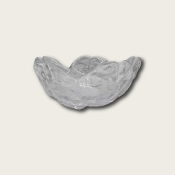 Transparent Cherry Blossom Bowl